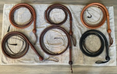 IJ Bullwhip Collection Photo 1.jpg