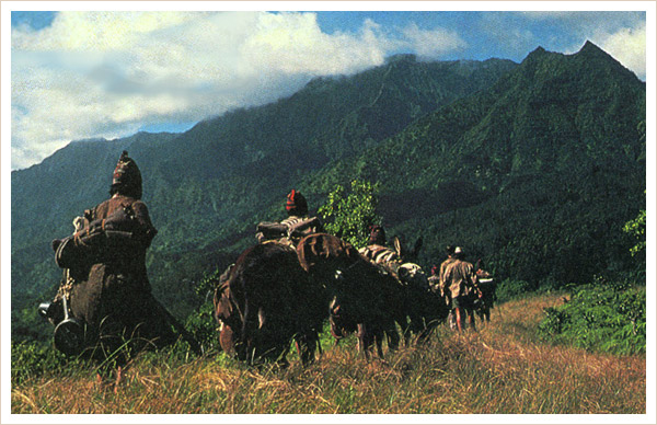 expedition in the film