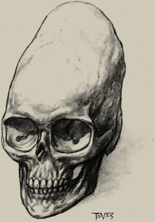 teves' skull design
