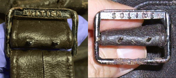 Buckle comparisons